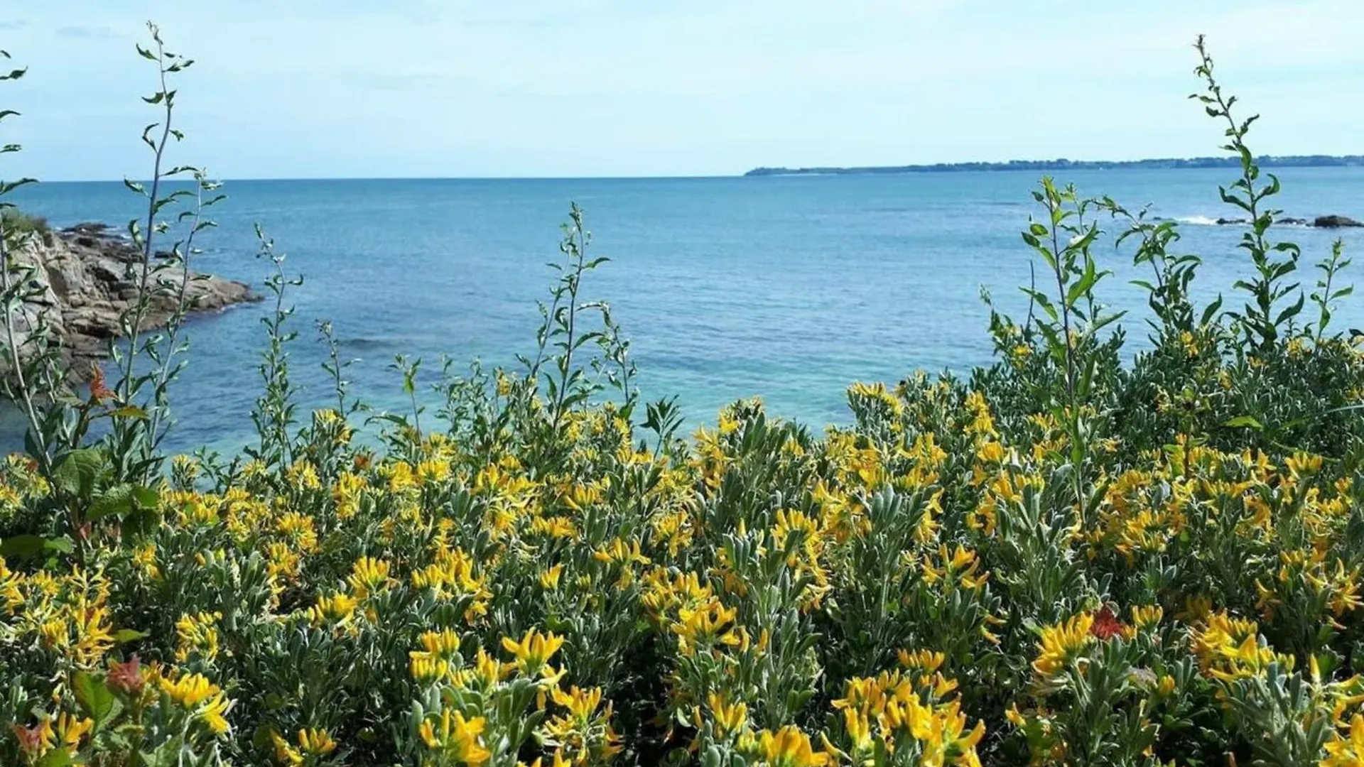 Διαμέρισμα Superbe T3 Cosy Vue Mer 180 Ploemeur